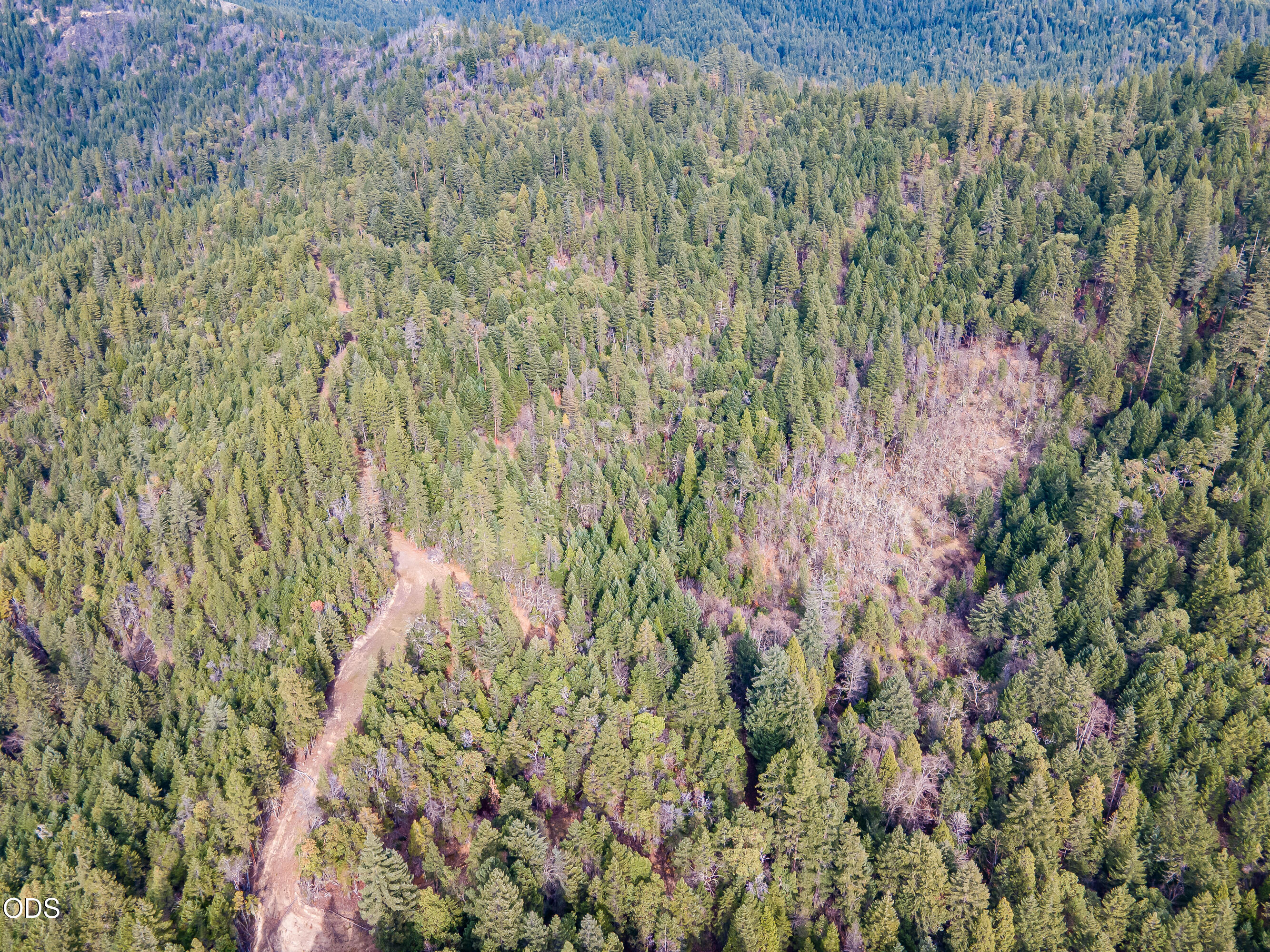 Pleasant Cr Road Rogue River, OR 97537 - Photo 15 of 42
