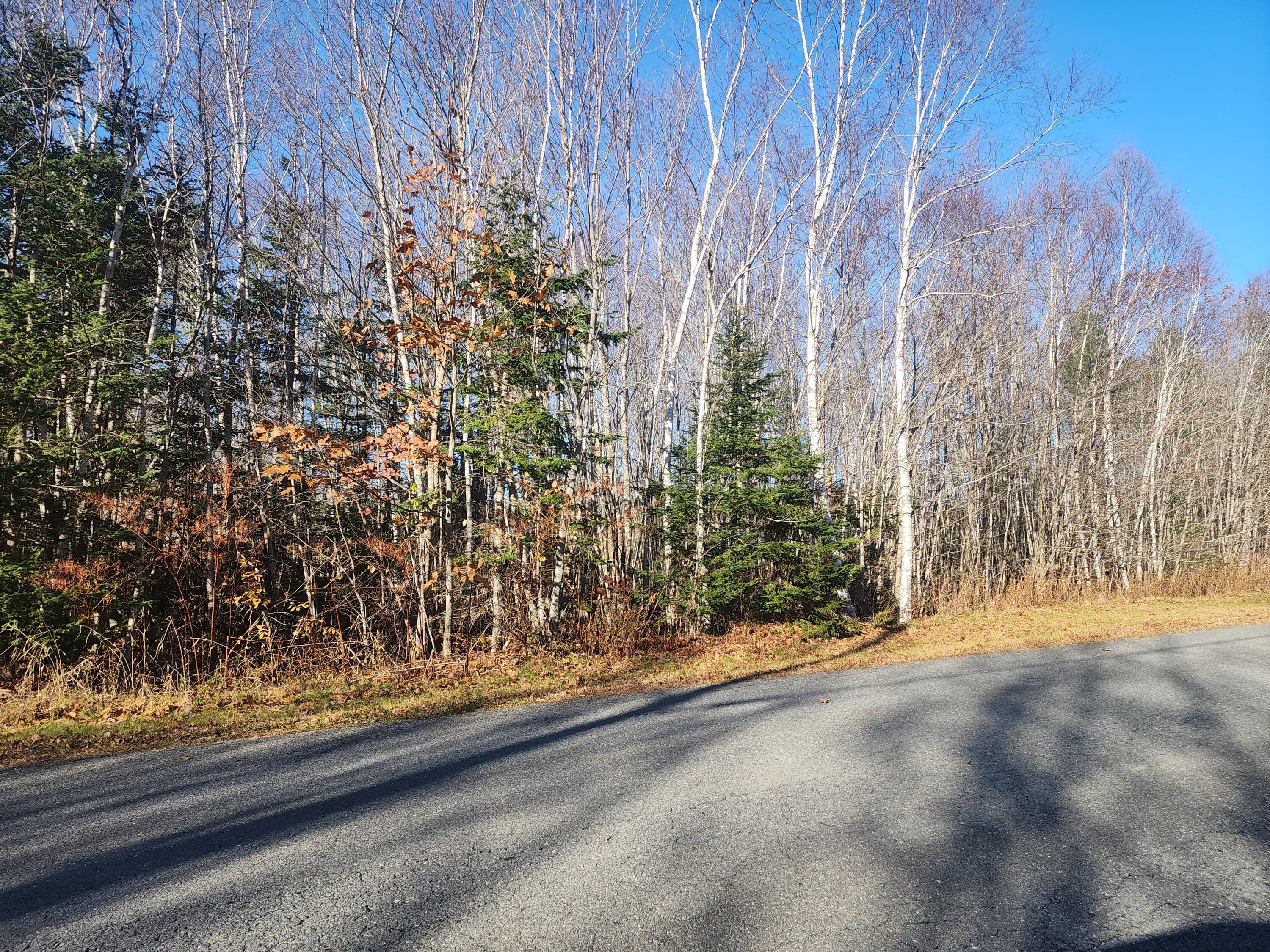 39 Sandy Ridge Lane Searsport, ME 04974 - Photo 10 of 10 20231120_092754