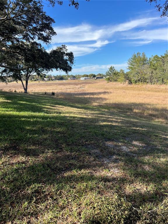 2441 Dustin Circle Spring Hill, FL 34608 - Photo 33 of 46