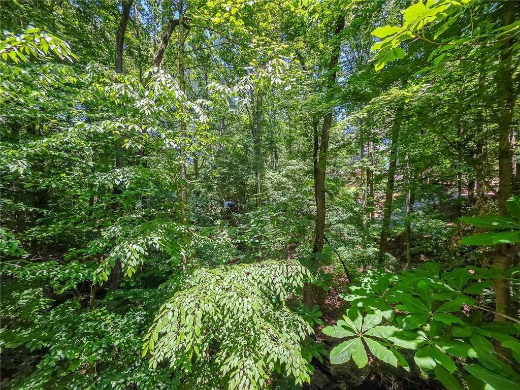 3712 Frederica Road Northwest Berkeley Lake, GA 30096 - Photo 7 of 49 a view of a lush green forest