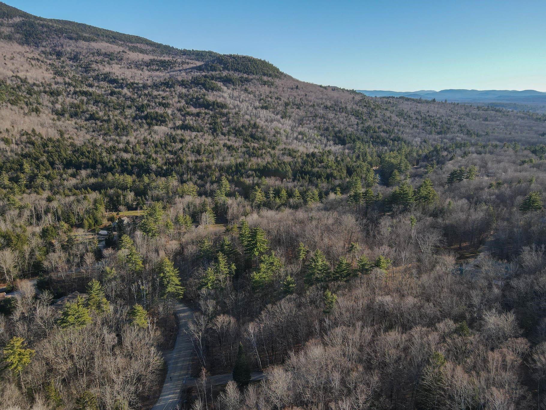 Hemlock Road, Unit 40 & 53 Bartlett, NH 03812 - Photo 4 of 7