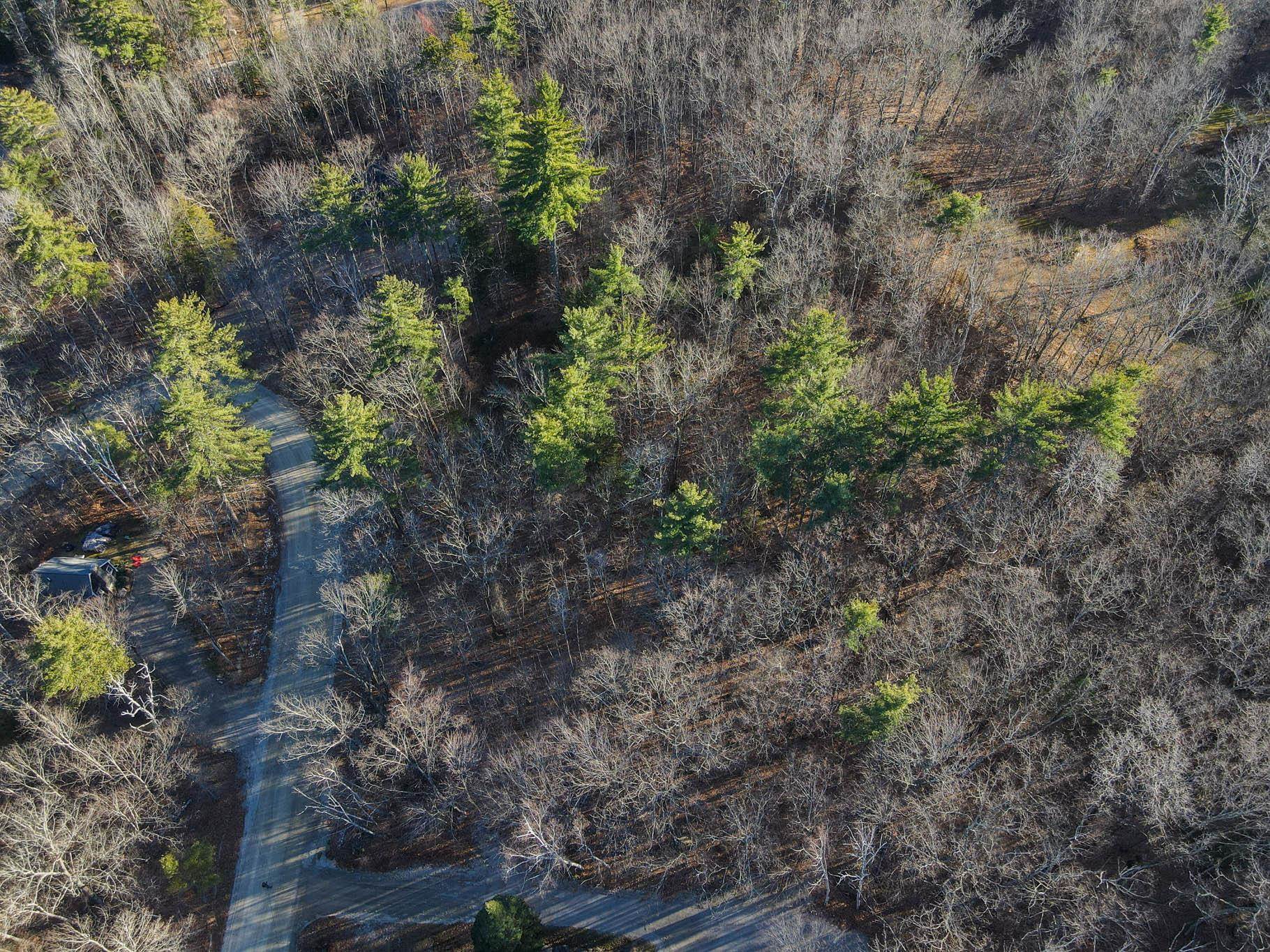 Hemlock Road, Unit 40 & 53 Bartlett, NH 03812 - Photo 5 of 7