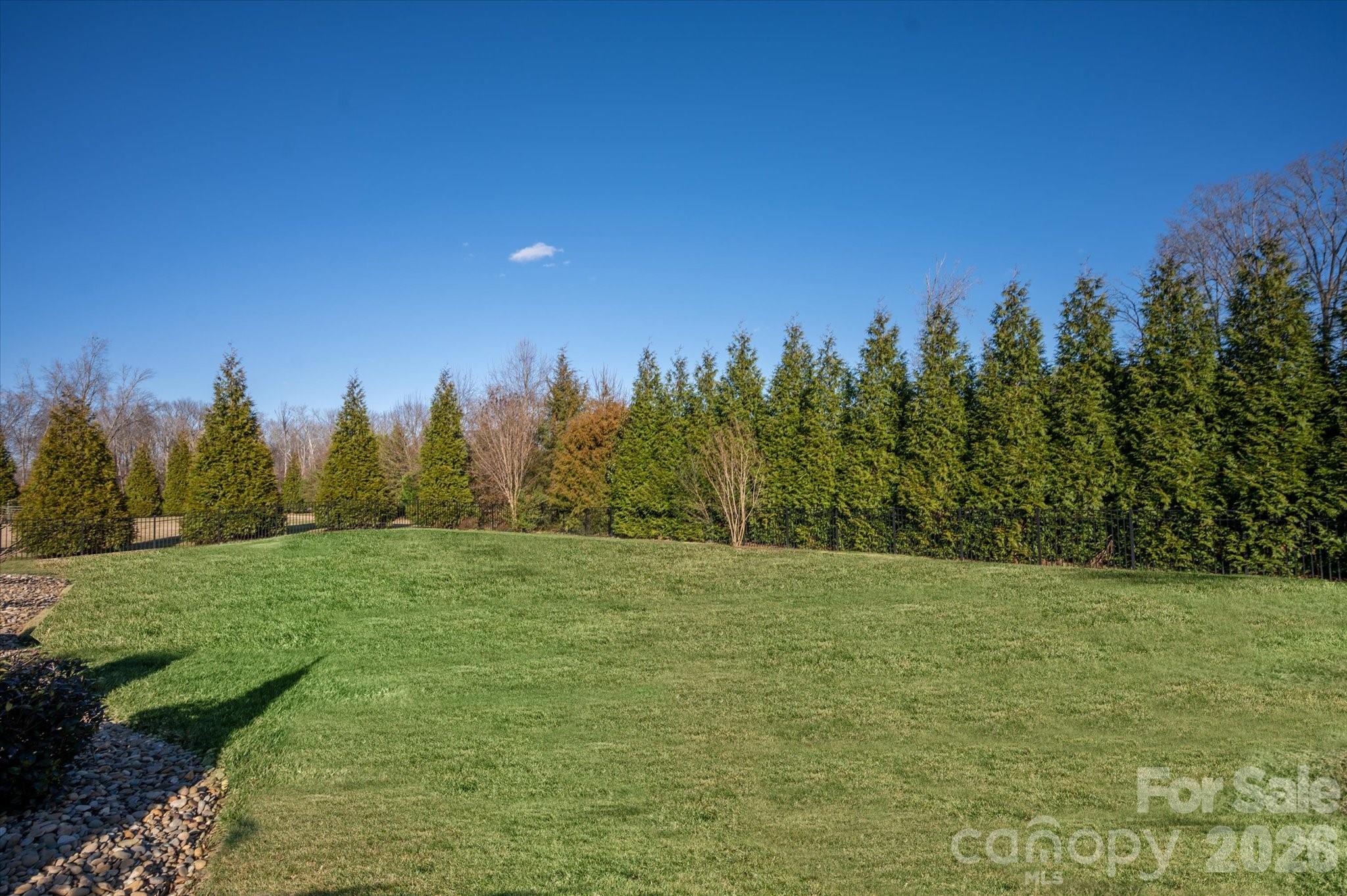 6016 Tea Olive Road Waxhaw, NC 28173 - Photo 44 of 45