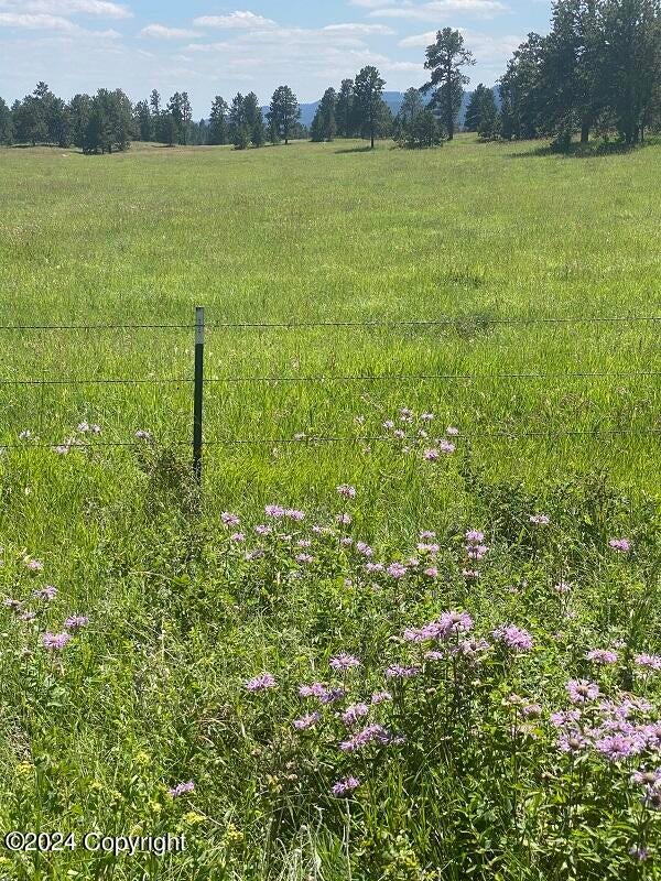 Tbd Red Butte Road Newcastle, WY 82701 - Photo 10 of 19 120 pic2