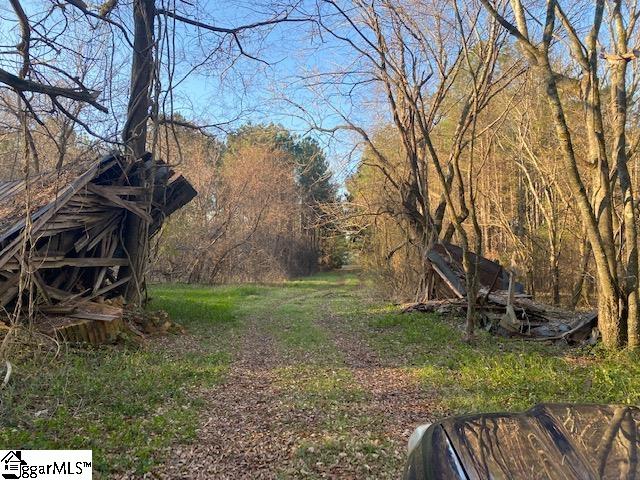 0 Riverfork Road, Unit TRACT 2 Waterloo, SC 29384 - Photo 3 of 10
