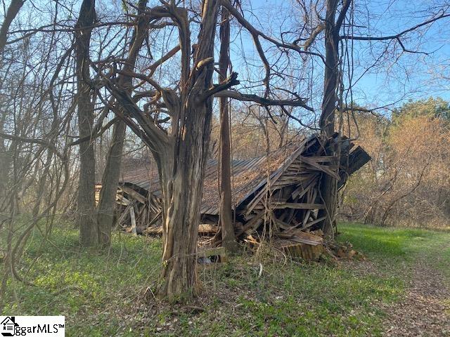 0 Riverfork Road, Unit TRACT 2 Waterloo, SC 29384 - Photo 4 of 10