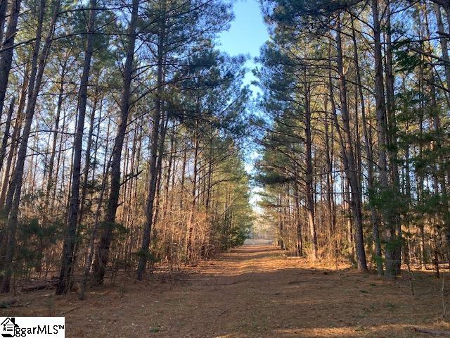0 Riverfork Road, Unit TRACT 2 Waterloo, SC 29384 - Photo 5 of 10