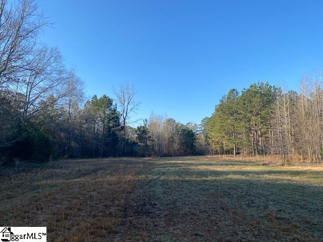 0 Riverfork Road, Unit TRACT 2 Waterloo, SC 29384 - Photo 6 of 10