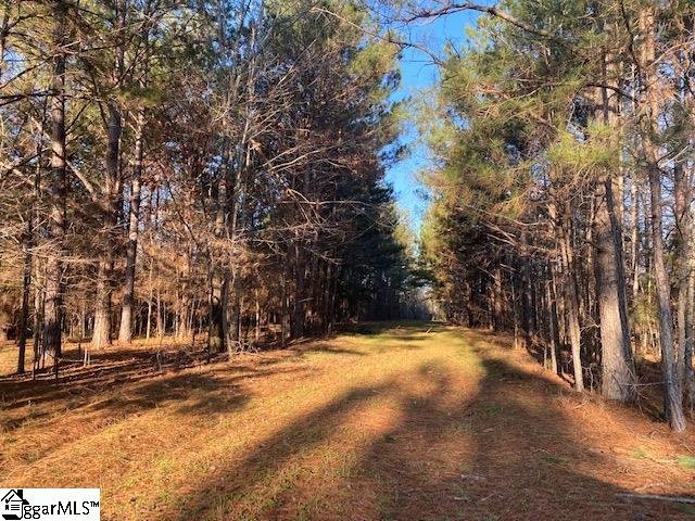 0 Riverfork Road, Unit TRACT 2 Waterloo, SC 29384 - Photo 7 of 10