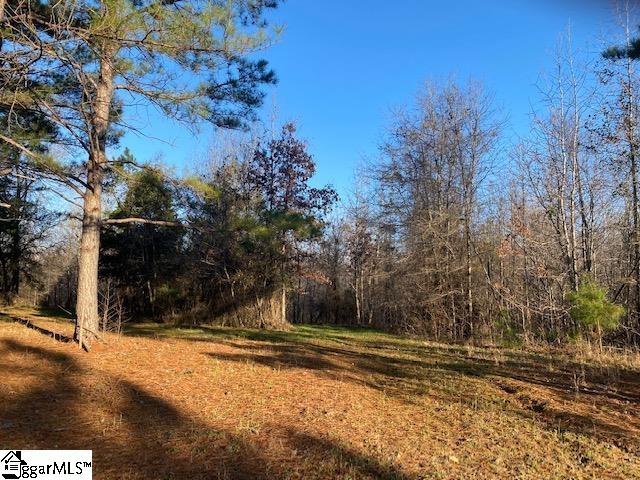 0 Riverfork Road, Unit TRACT 2 Waterloo, SC 29384 - Photo 8 of 10