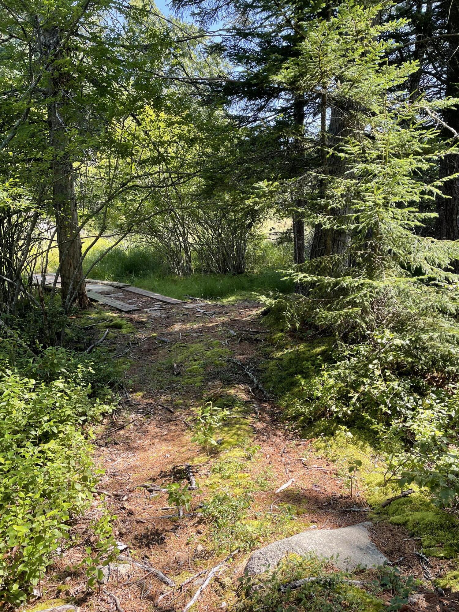 205 Young Road Vinalhaven, ME 04863 - Photo 39 of 48 IMG_1700