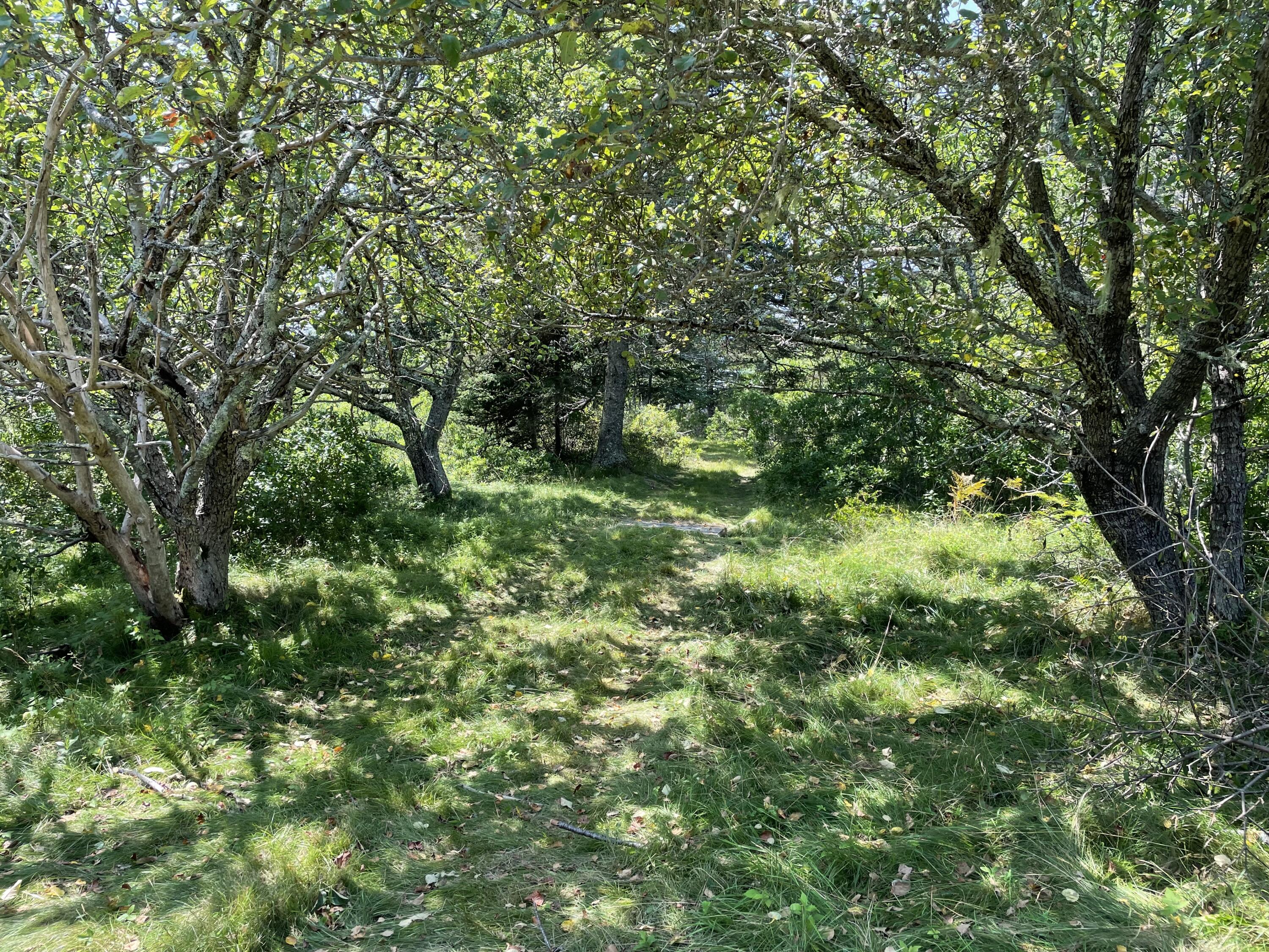 205 Young Road Vinalhaven, ME 04863 - Photo 40 of 48 IMG_1457