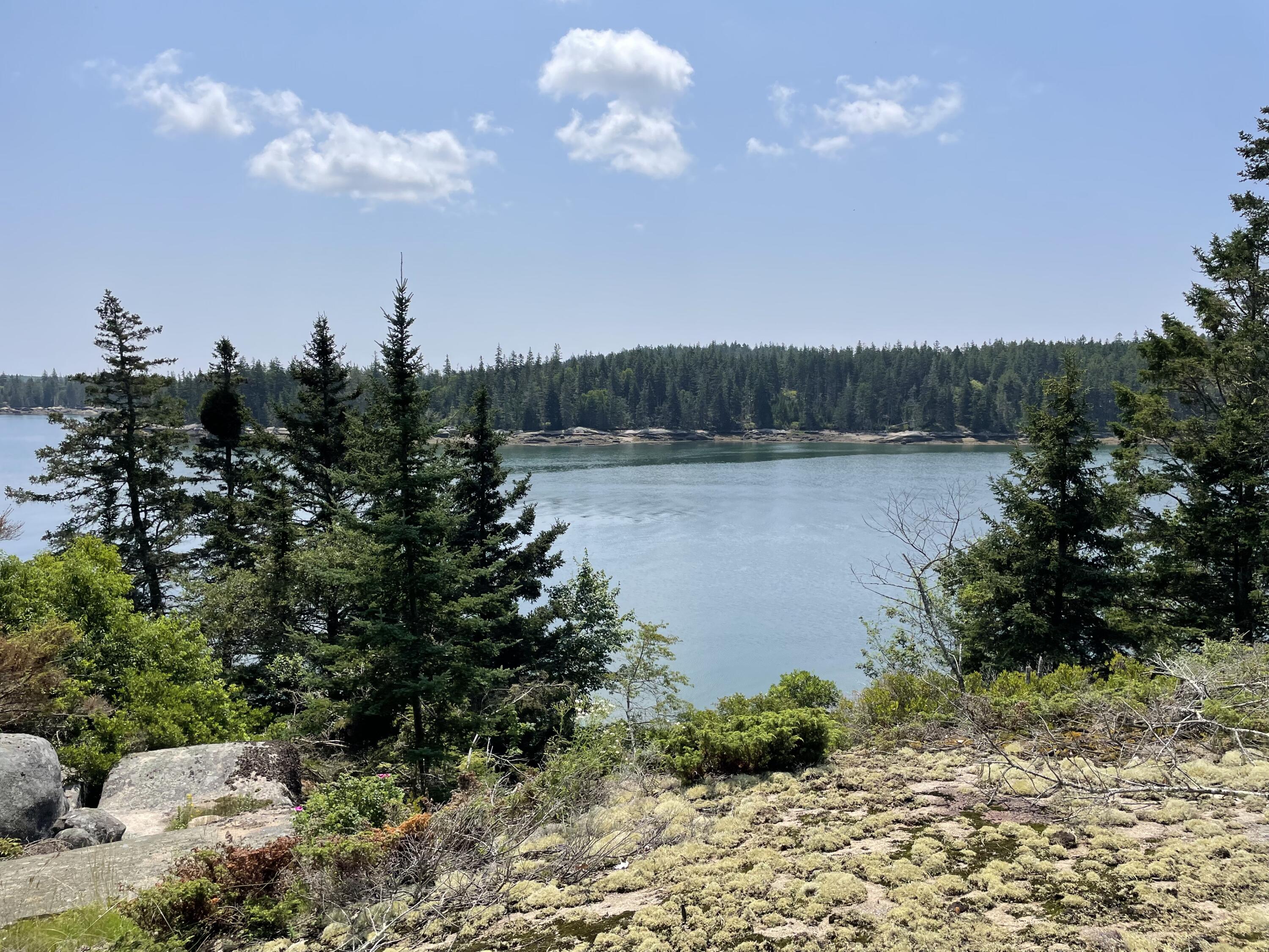 205 Young Road Vinalhaven, ME 04863 - Photo 5 of 48 IMG_1444