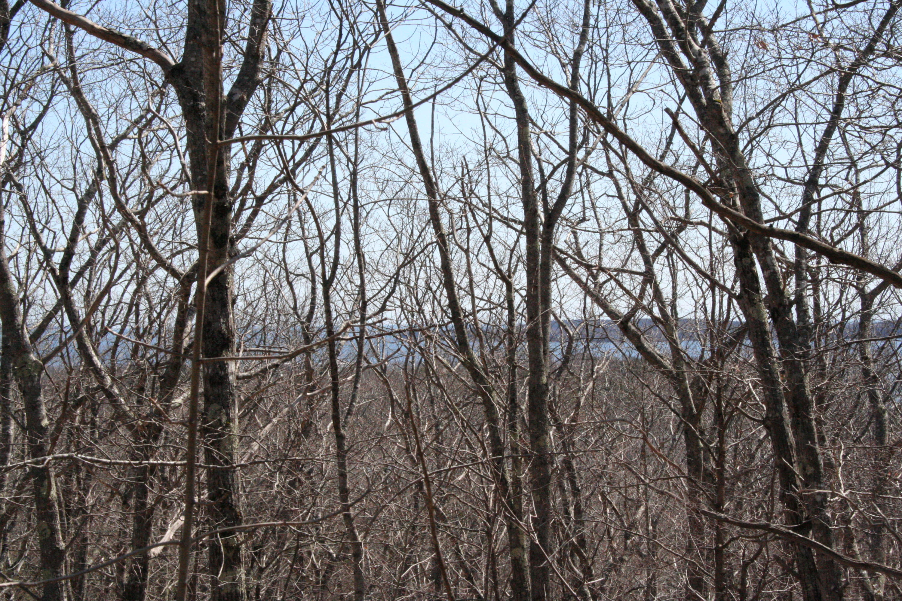 753 Old County Road Rockland, ME 04841 - Photo 2 of 4 753 Old County Road Rockland ME