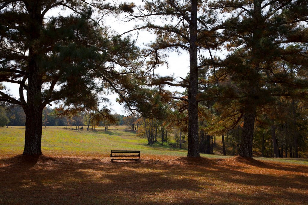 Lot 6 Louisville Road Appling, GA 30802 - Photo 2 of 6