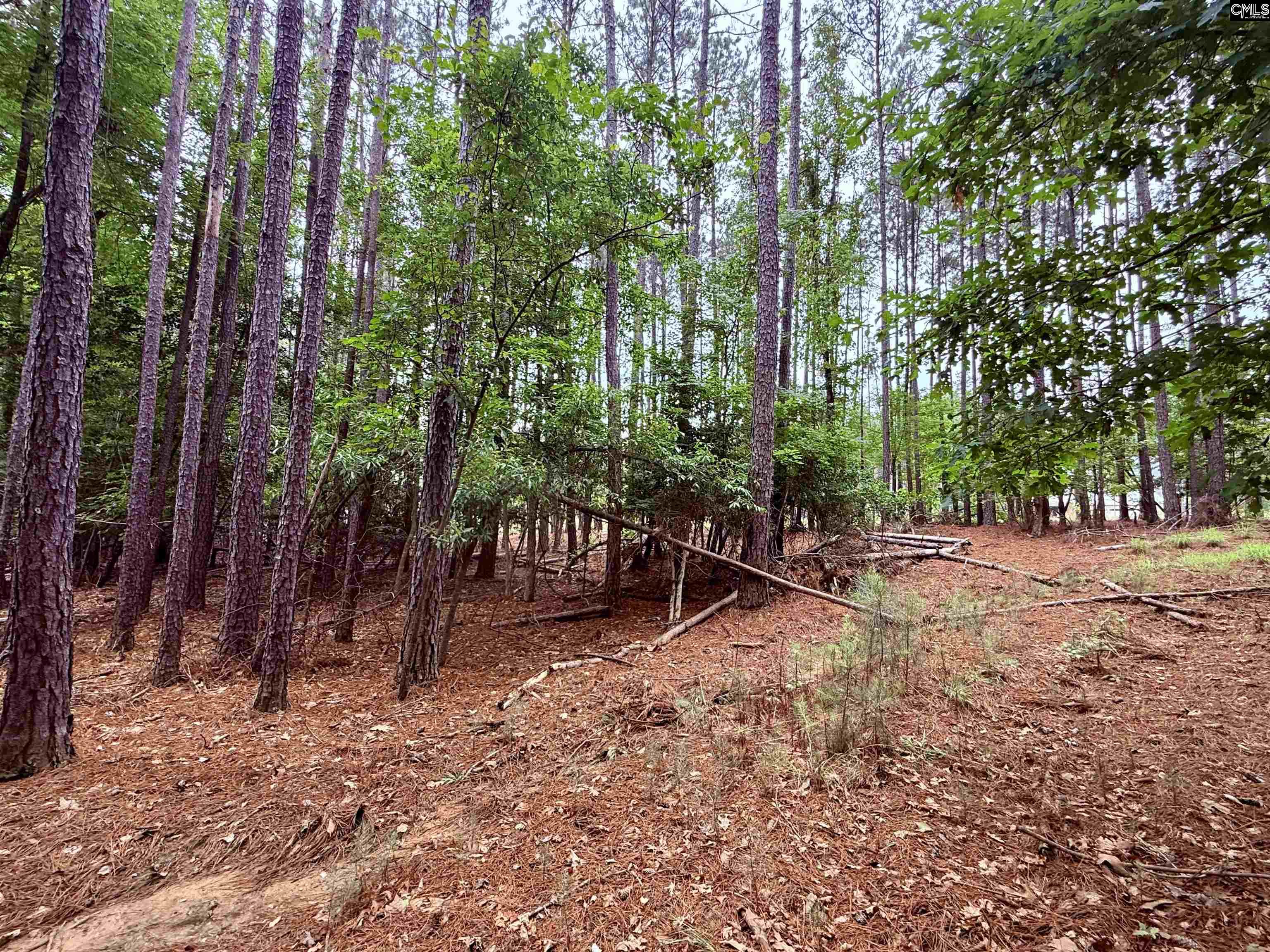 85 Timber Trl Lane Prosperity, SC 29127 - Photo 9 of 19