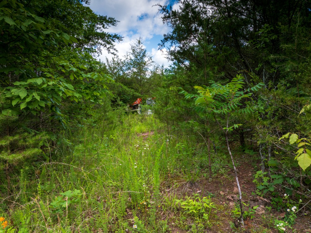 0 Round Barn Road Powder Springs, TN 37848 - Photo 17 of 40