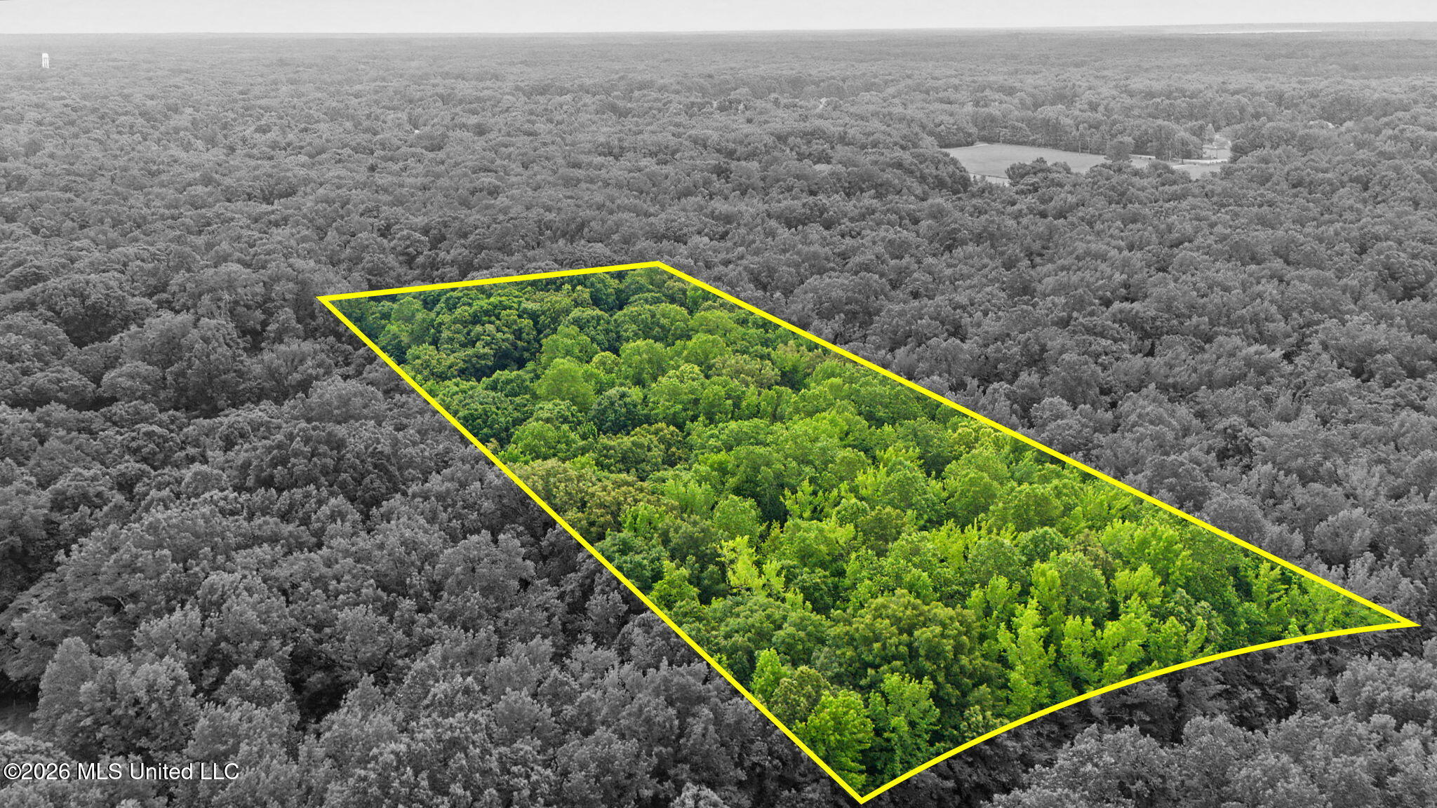 Tanyard Road Hernando, MS 38632 - Photo 3 of 13 4-web-or-mls-Tanyard Rd-4