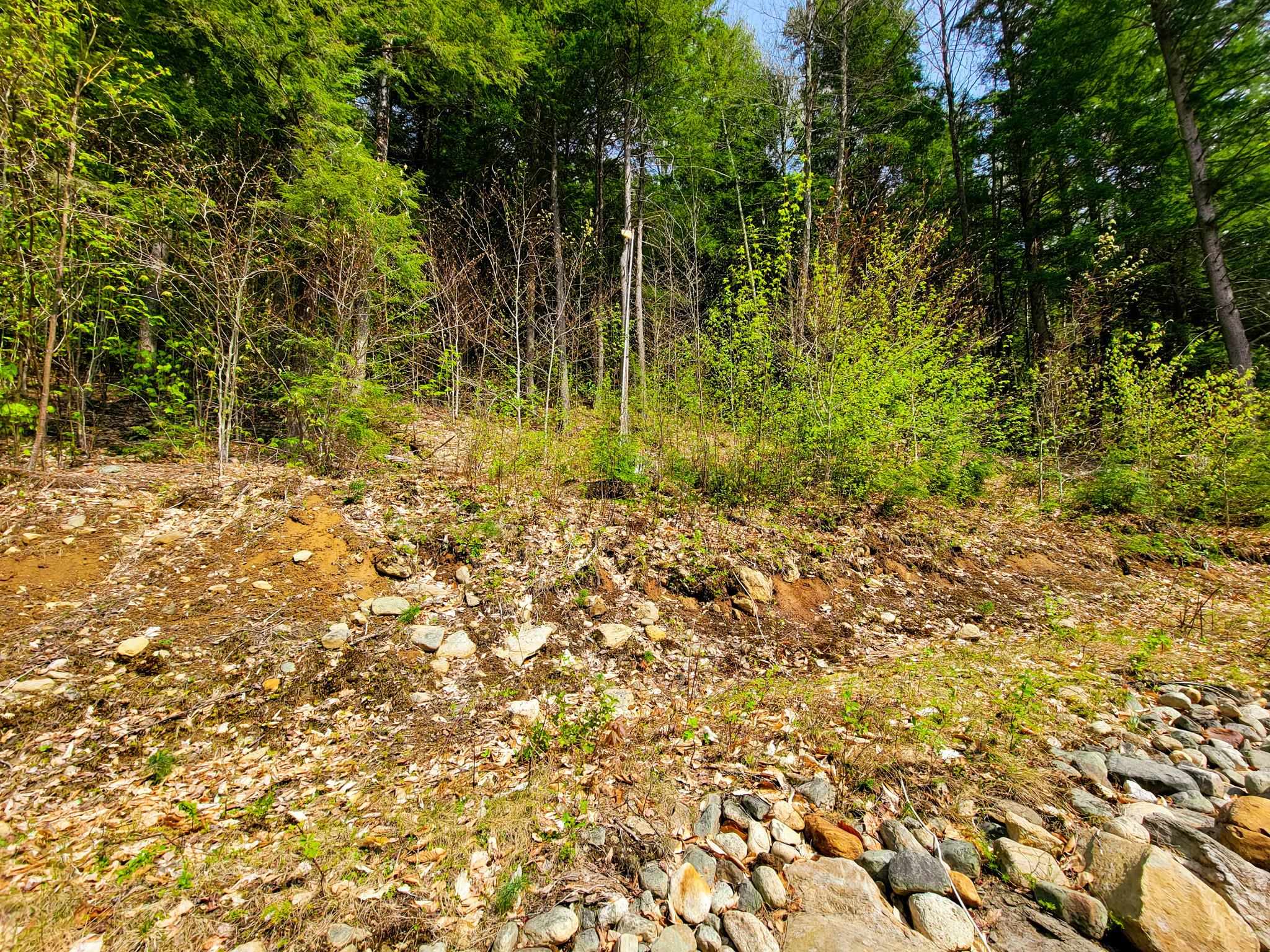 1784 Augur Hole Road Marlboro, VT 05301 - Photo 28 of 29 Gallery Image 28