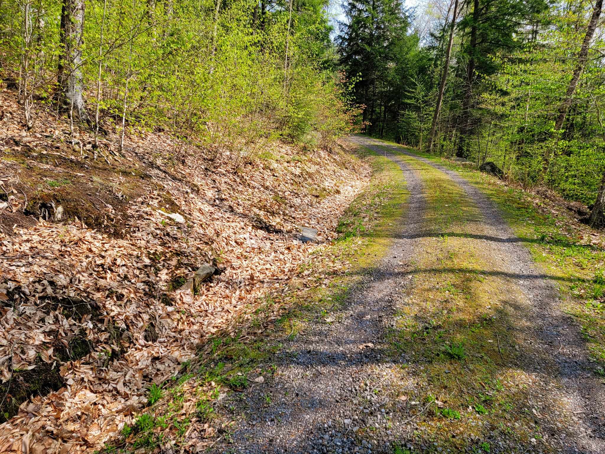 1784 Augur Hole Road Marlboro, VT 05301 - Photo 5 of 29 Gallery Image 5