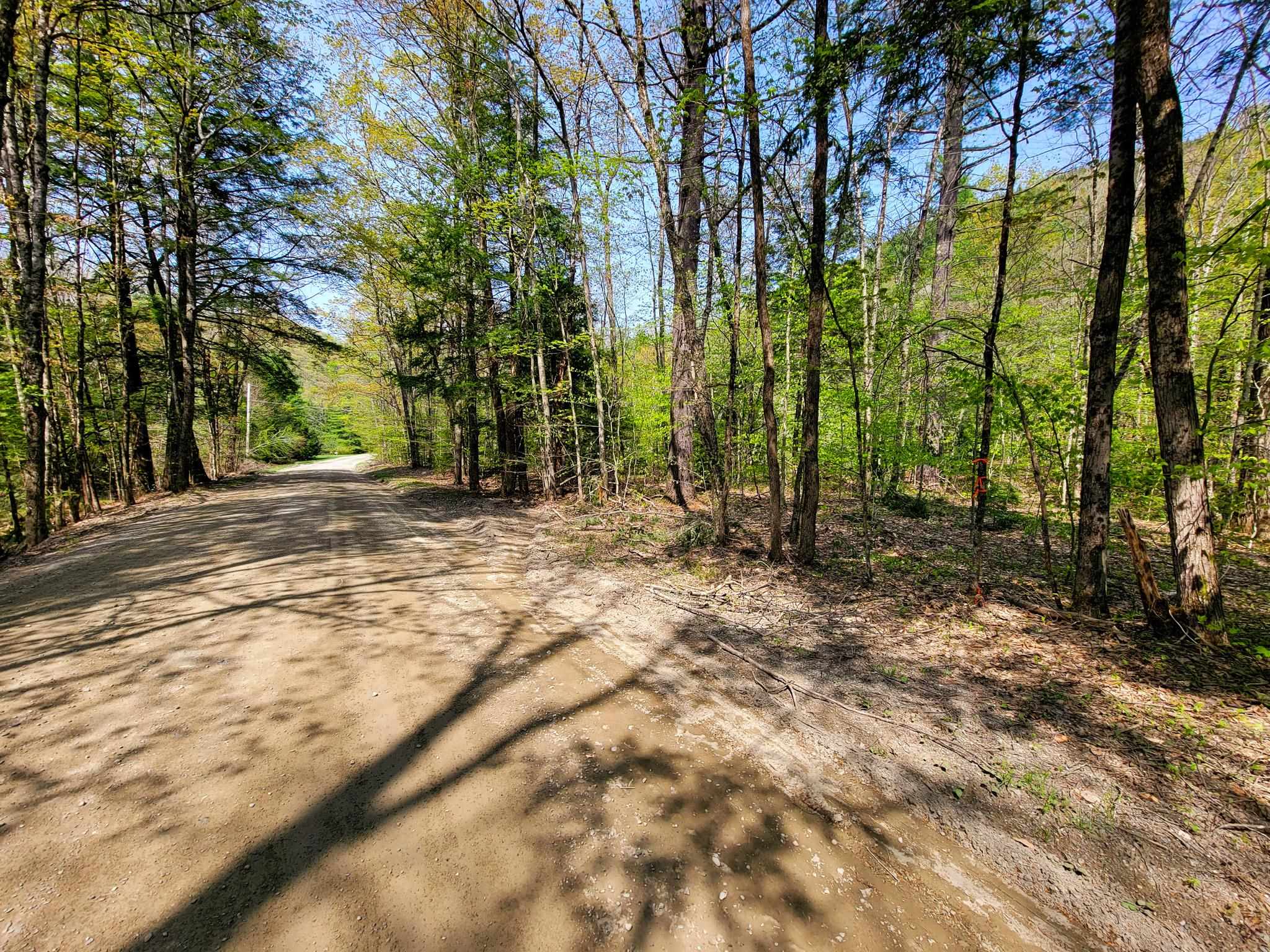 1784 Augur Hole Road Marlboro, VT 05301 - Photo 9 of 29 Gallery Image 9