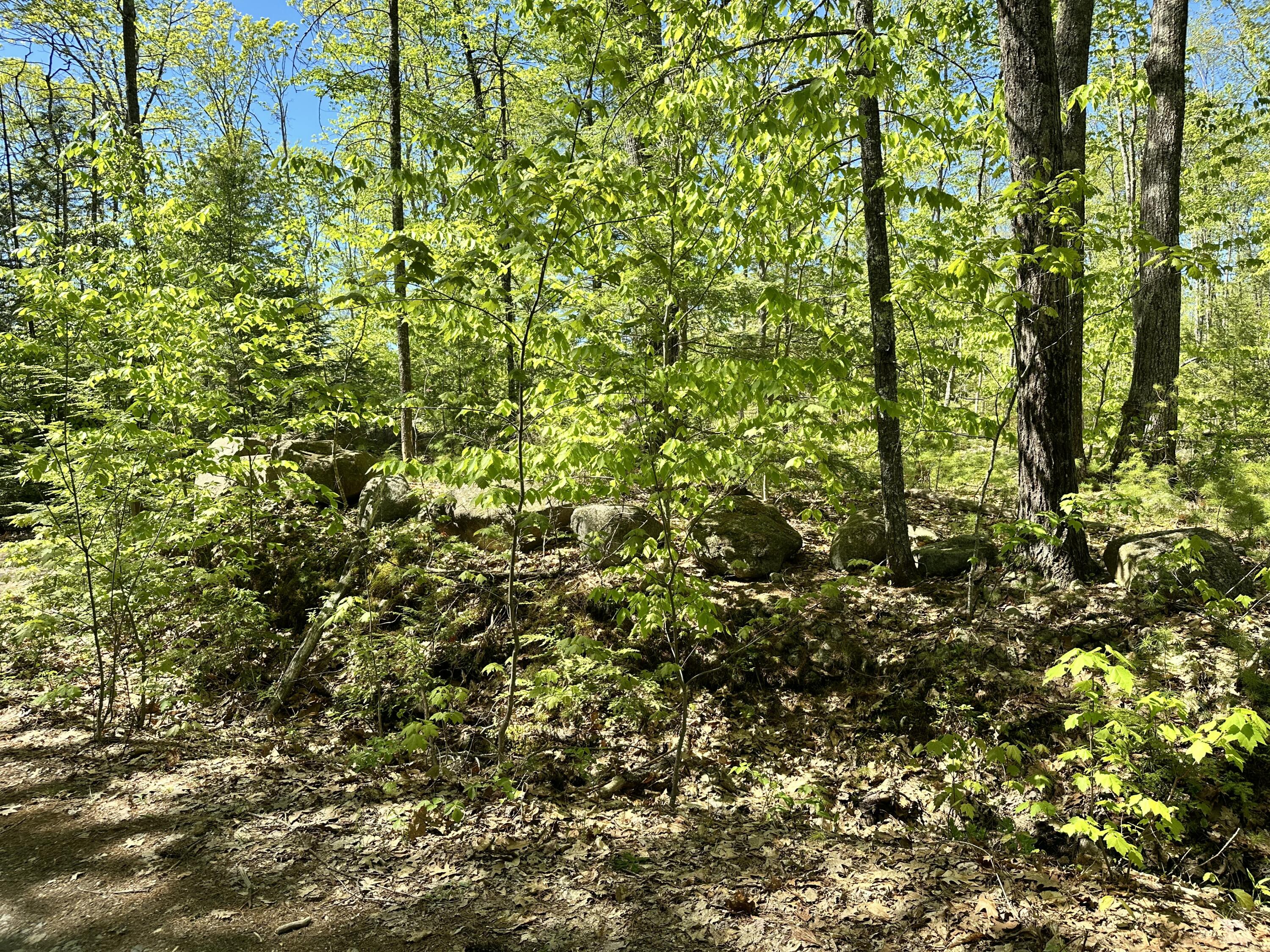 19 Grist Mill Road Naples, ME 04055 - Photo 24 of 31 Entrance to Cabin