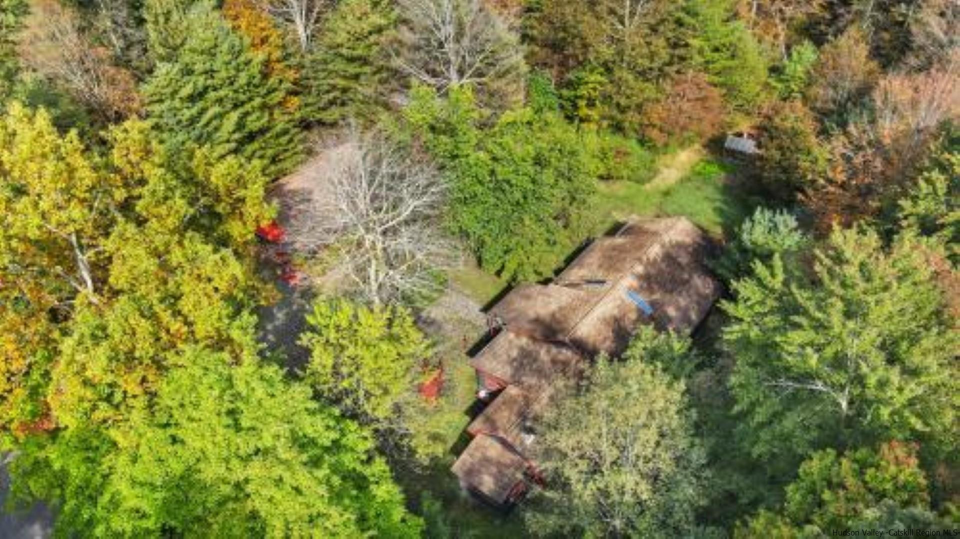 344 Scarawan Road Stone Ridge, NY 12484 - Photo 28 of 30 a backyard of a house with lots of plants and trees