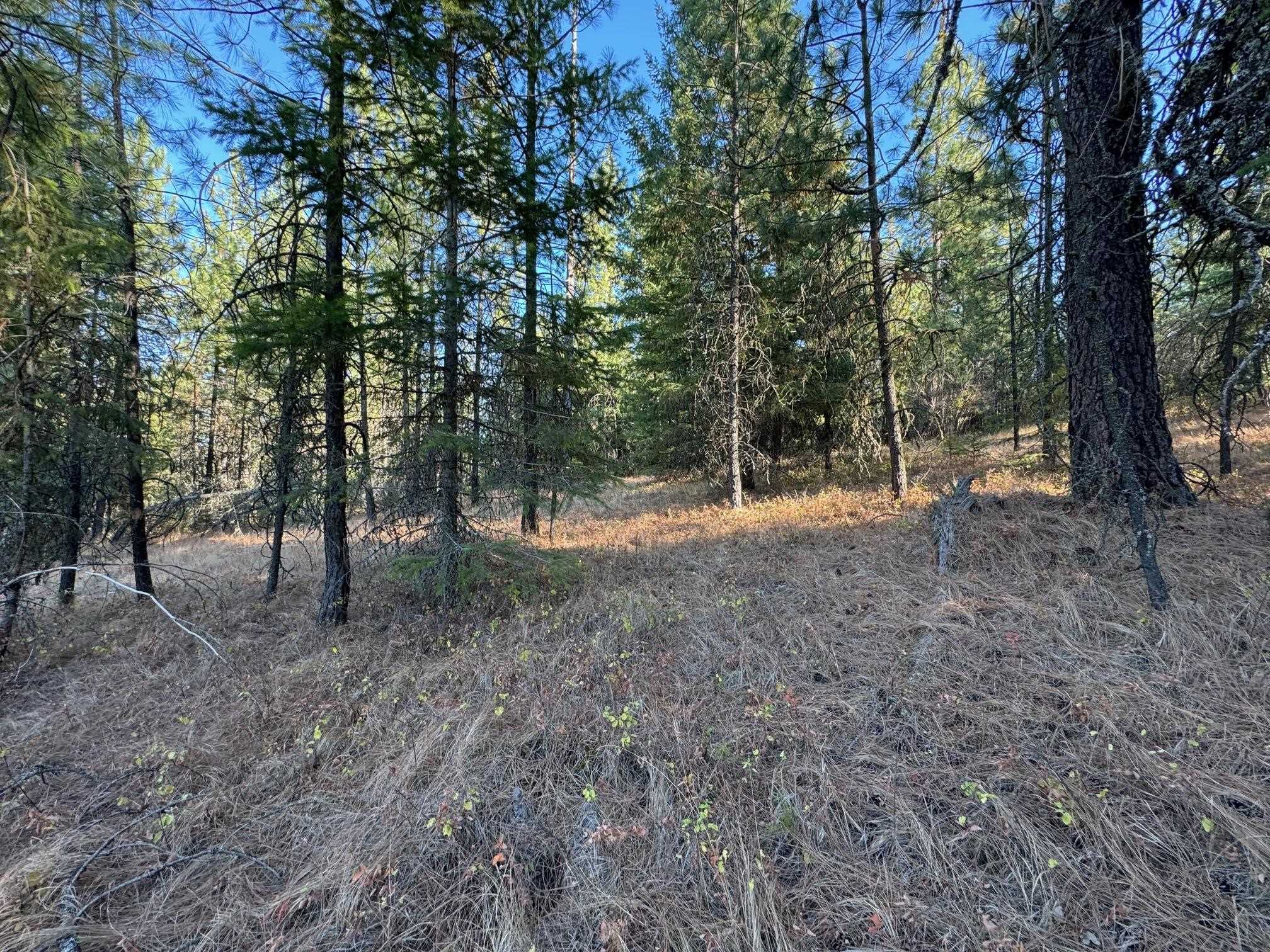 4209 West Fantasy Ct Way Loon Lake, WA 99148 - Photo 33 of 42 Gallery Image 33