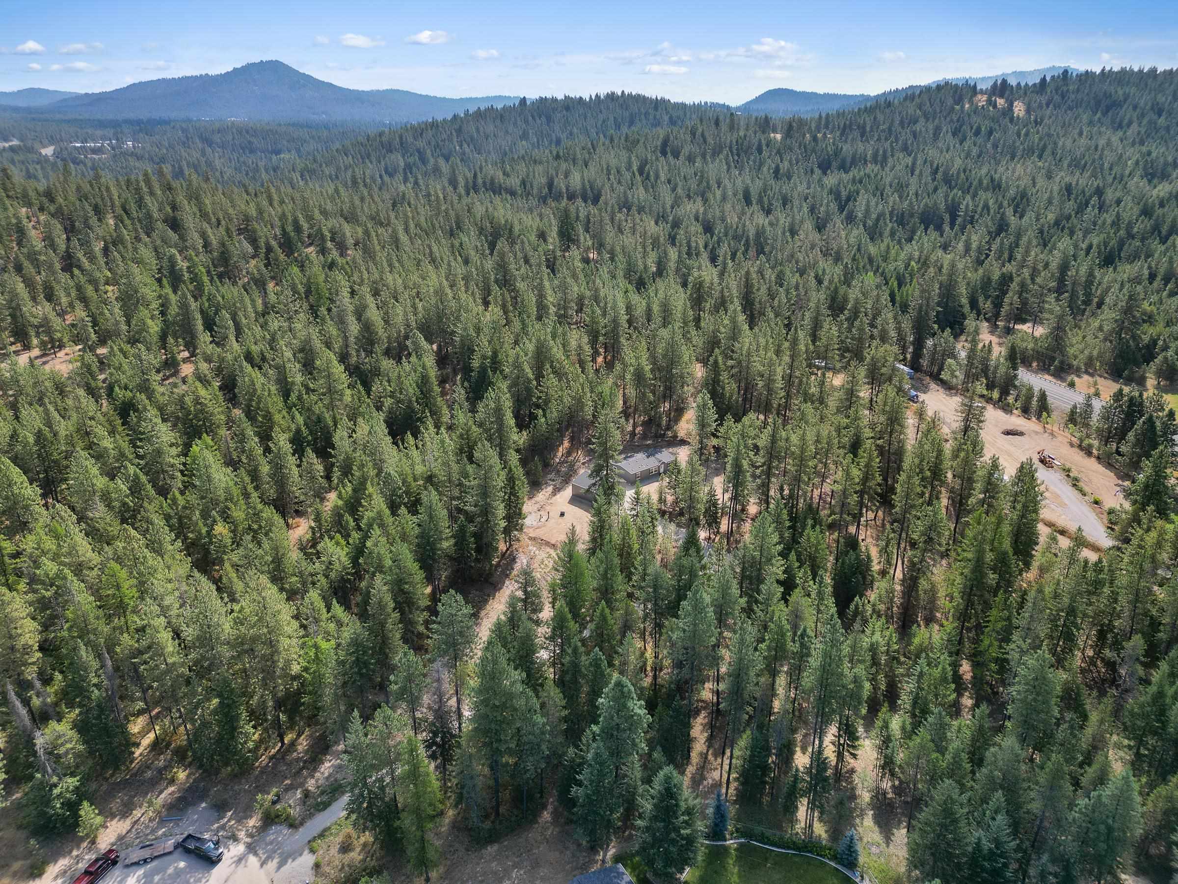 4209 West Fantasy Ct Way Loon Lake, WA 99148 - Photo 42 of 42 Gallery Image 42
