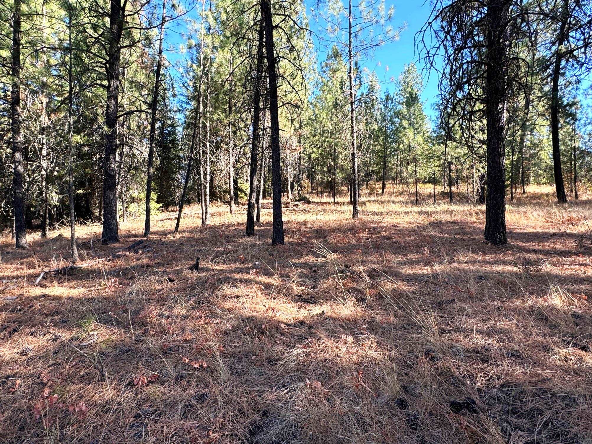 4209 West Fantasy Ct Way Loon Lake, WA 99148 - Photo 5 of 42 Gallery Image 5