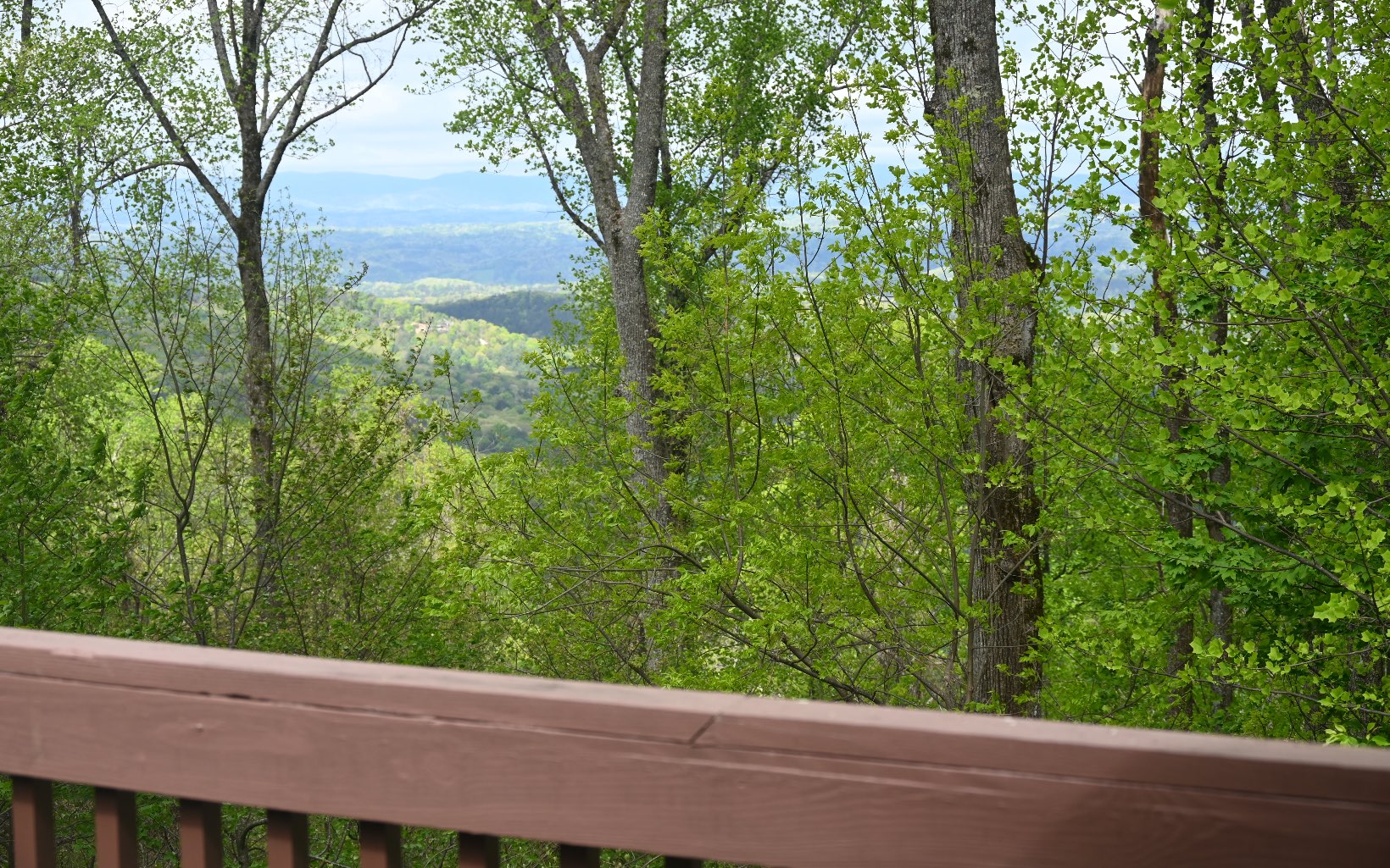 1609 Walnut Ridge Ellijay, GA 30536 - Photo 3 of 4 Additional View