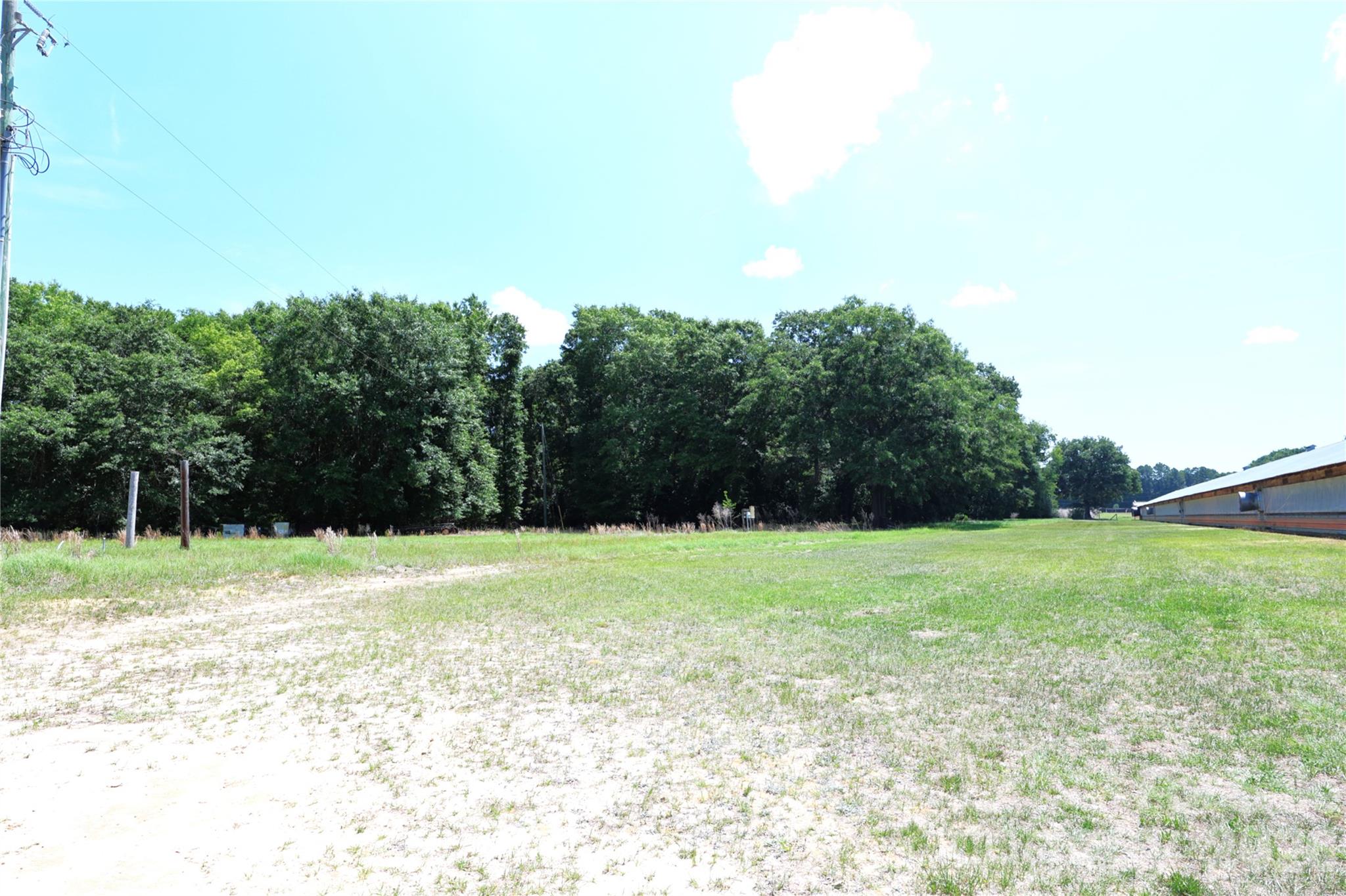2121 Whitetail Road Blackville, SC 29817 - Photo 4 of 40