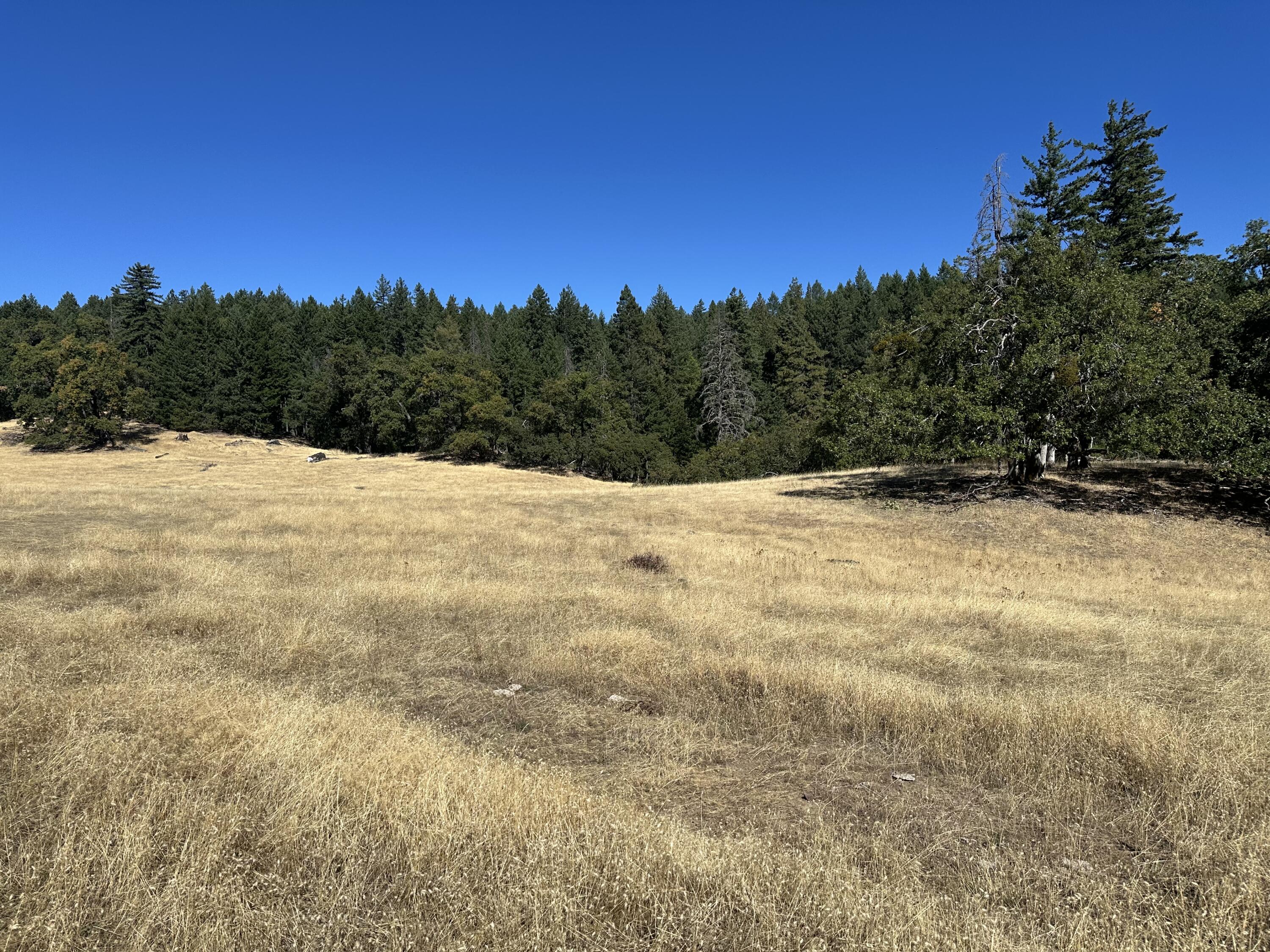 751 Lassic's Lookout Road Zenia, CA 95595 - Photo 14 of 29
