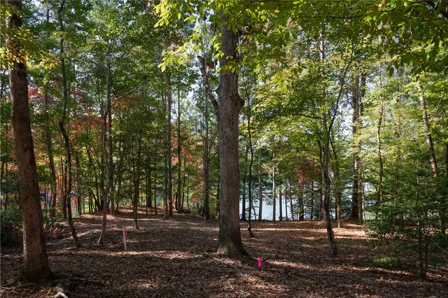 $625,000 | Lot 13 Village View Drive, Sunset, SC 29685
