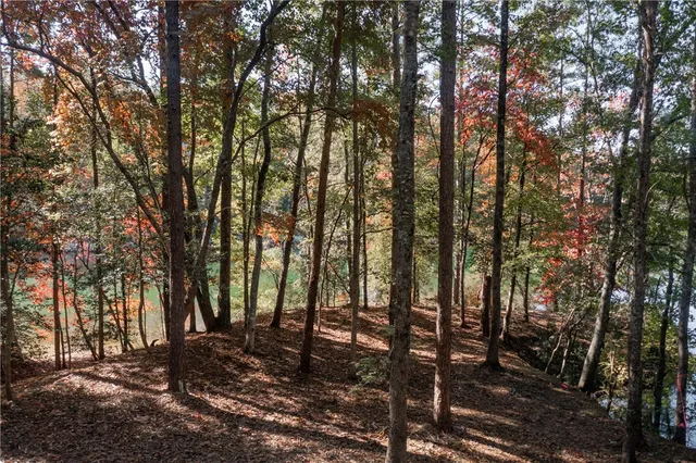 $625,000 | Lot 13 Village View Drive, Sunset, SC 29685