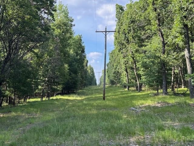 1900 13th Drive Friendship, WI 53934 - Photo 11 of 14