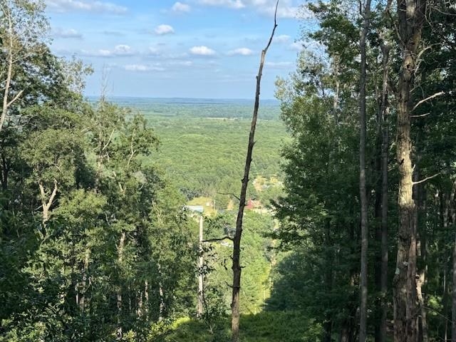 1900 13th Drive Friendship, WI 53934 - Photo 12 of 14
