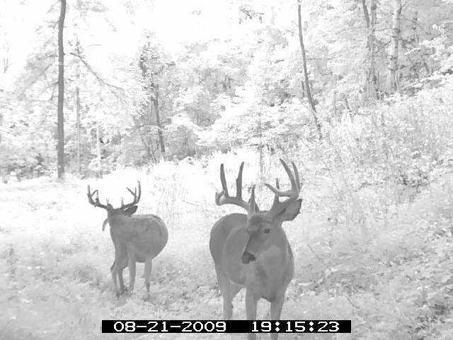 1900 13th Drive Friendship, WI 53934 - Photo 14 of 14