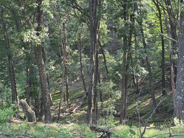 1900 13th Drive Friendship, WI 53934 - Photo 9 of 14