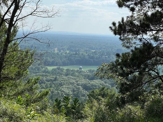 1900 13th Drive Friendship, WI 53934 - Photo 10 of 14