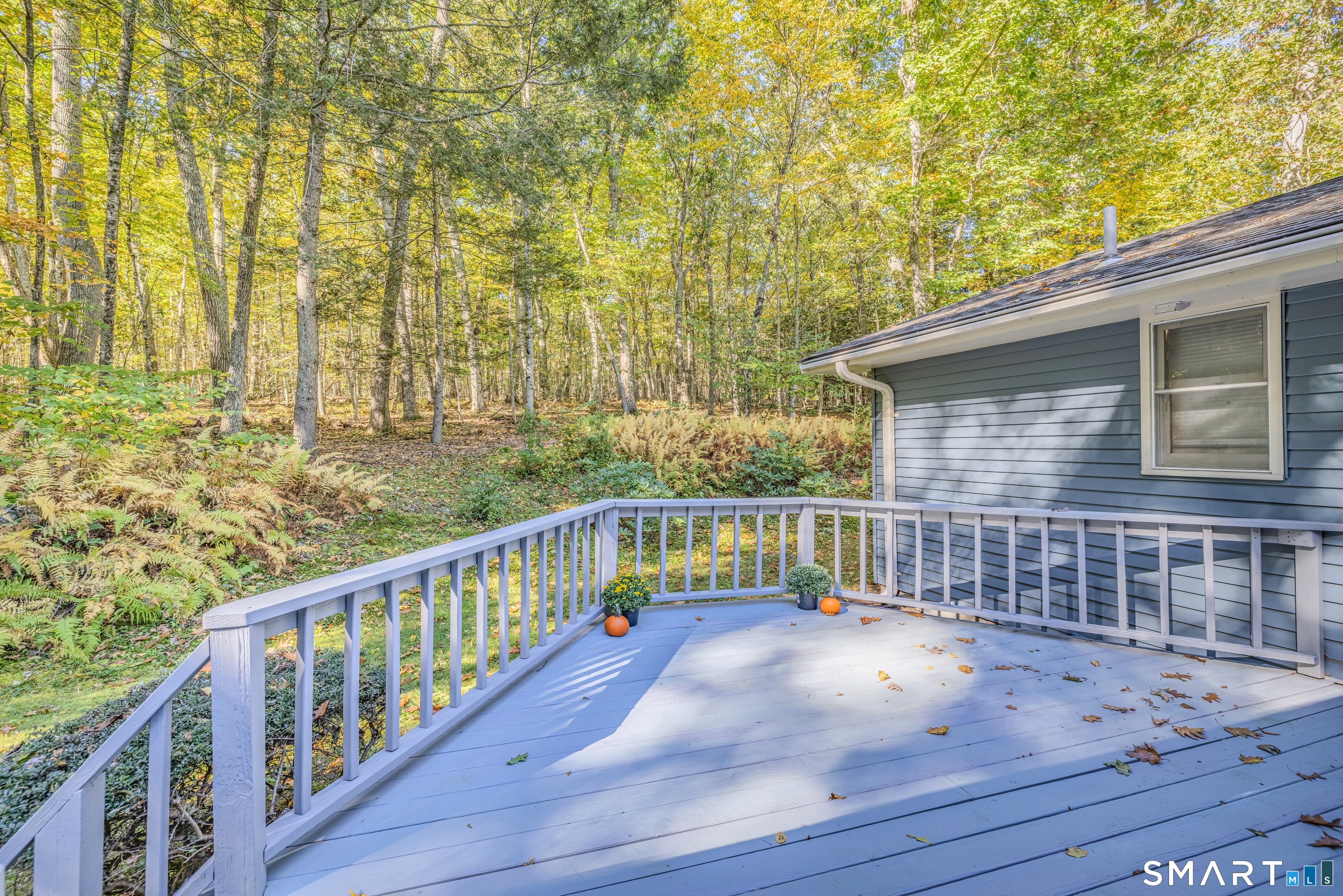 121 Beech Mountain Road Mansfield, CT 06250 - Photo 39 of 40 Gallery Image 39