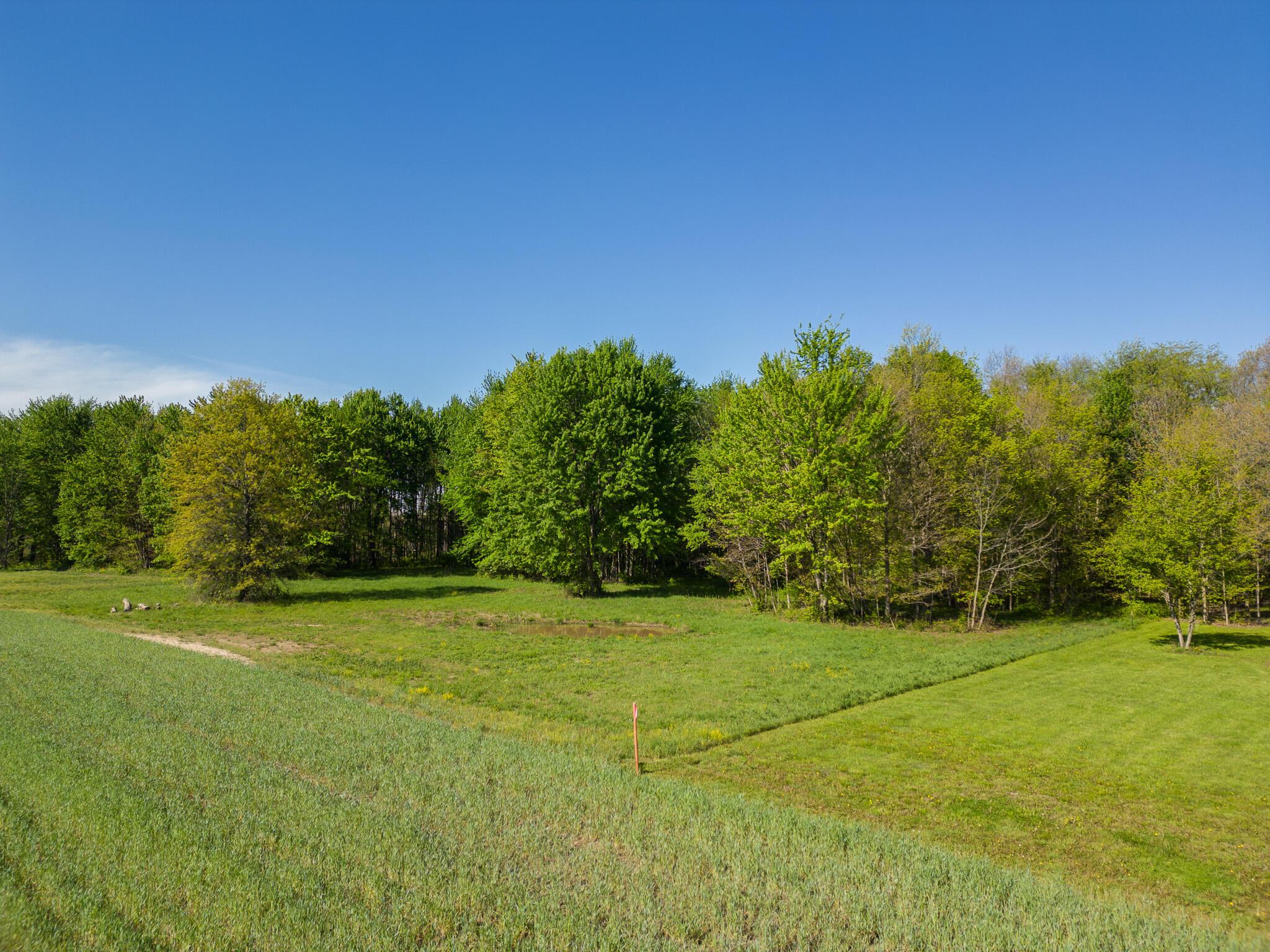5387 Dildine Road Delaware, OH 43015 - Photo 32 of 37 51