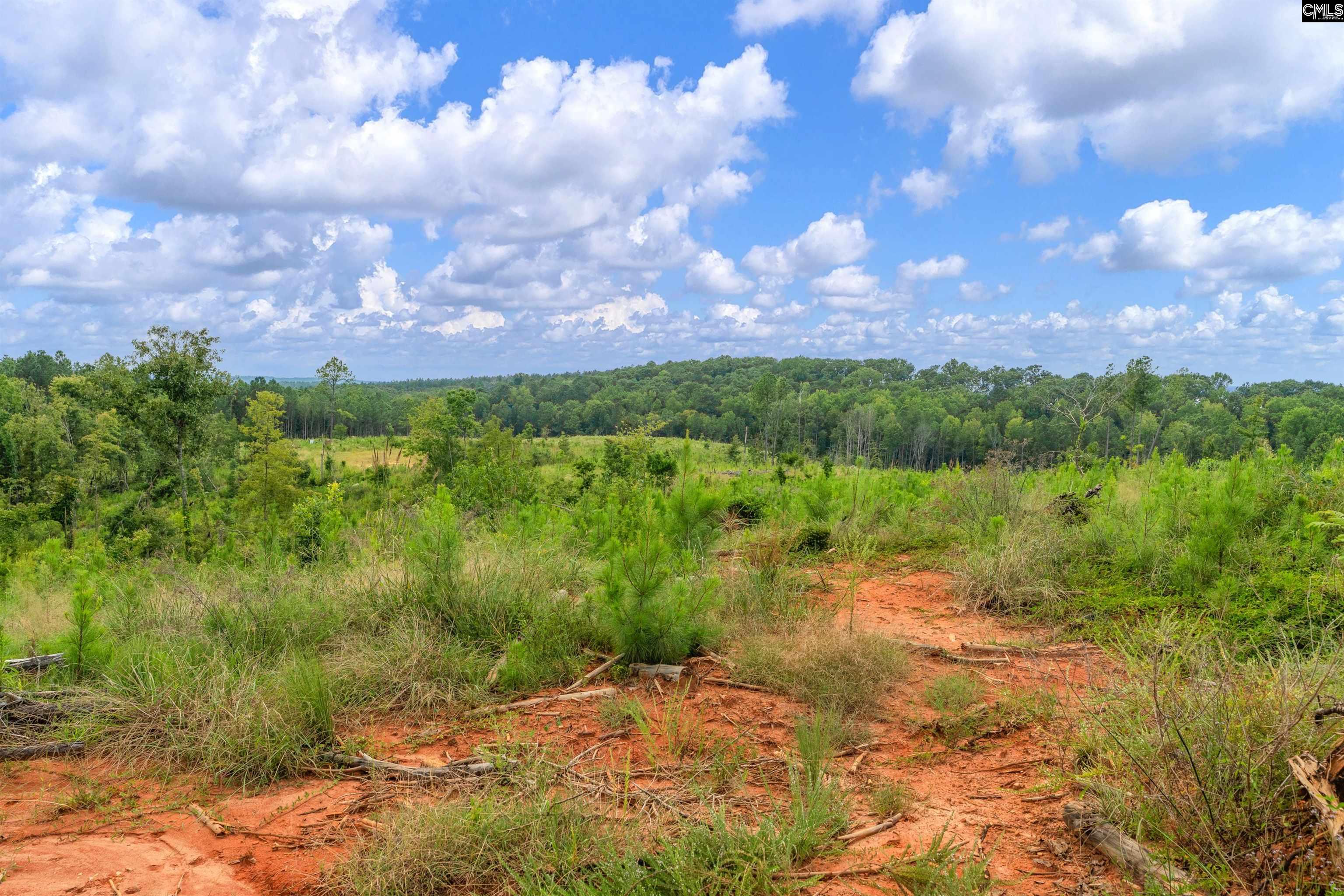 0 Penner Road, Unit 7 Jenkinsville, SC 29065 - Photo 30 of 36