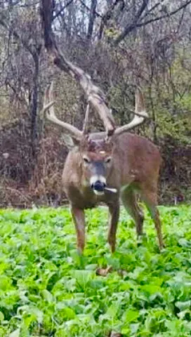 $4,800,000 | 8615 West 450 South, Hudson, IN 46747