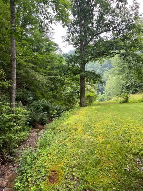 4562 Crane Creek Road, Unit PARCEL #2 Manchester, KY 40962 - Photo 13 of 18 IMG_9534