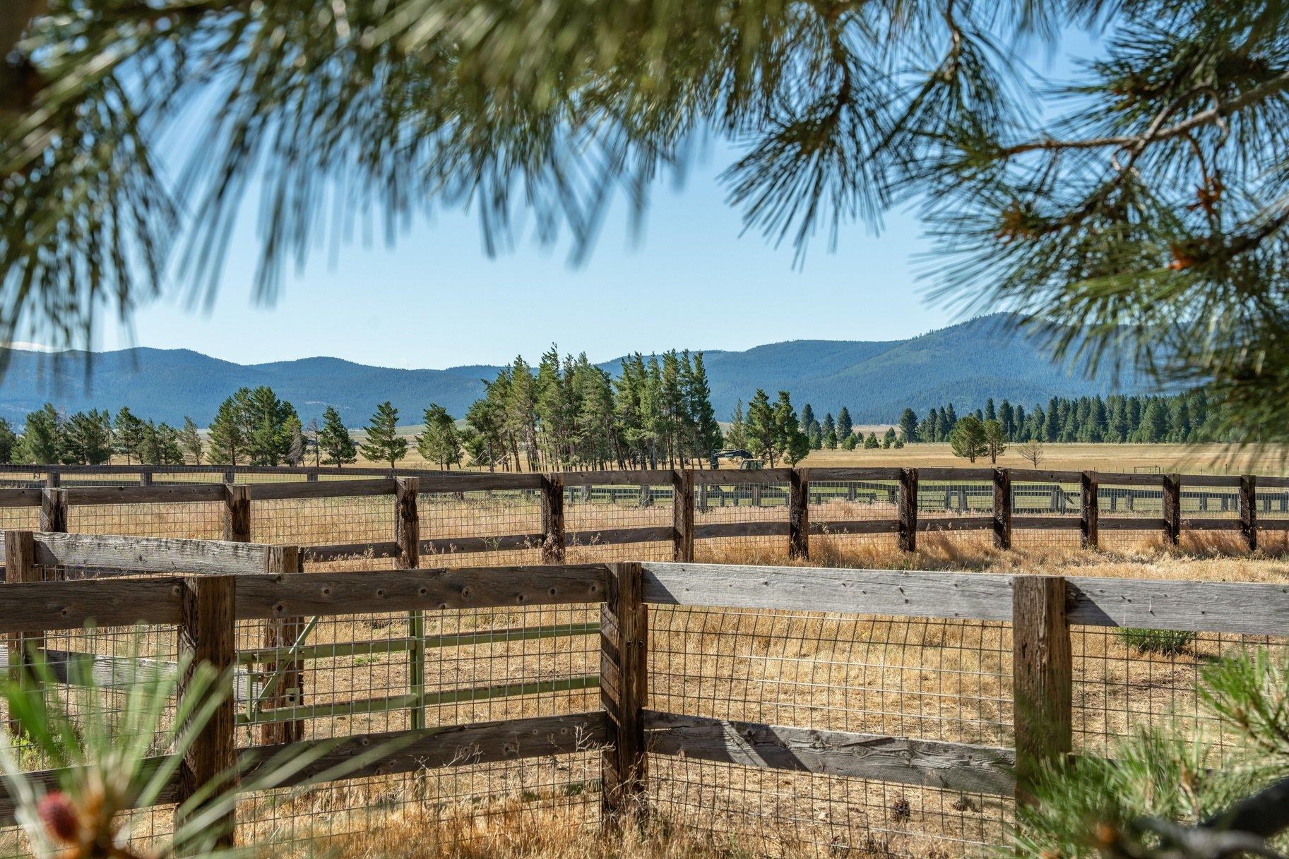 22440 Highway 89 Calpine, CA 96124 - Photo 8 of 27
