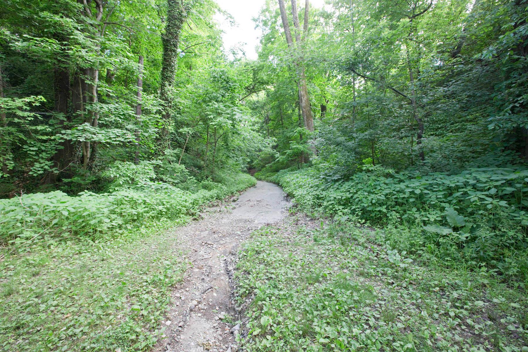 460 Tibet Road Columbus, OH 43202 - Photo 47 of 48 Gallery Image 47
