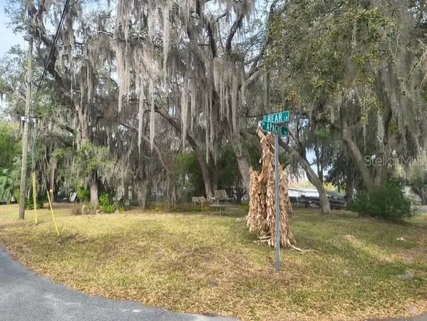 a view of outdoor space with trees
