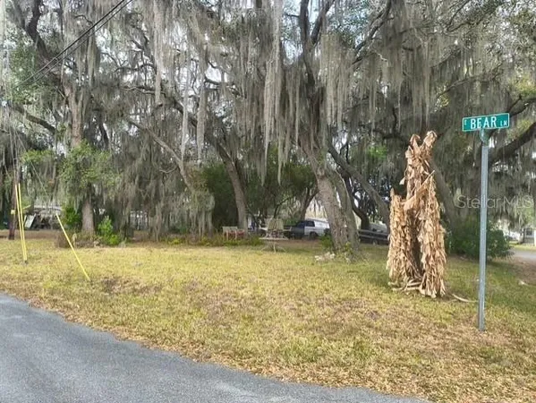 a view of a yard with trees