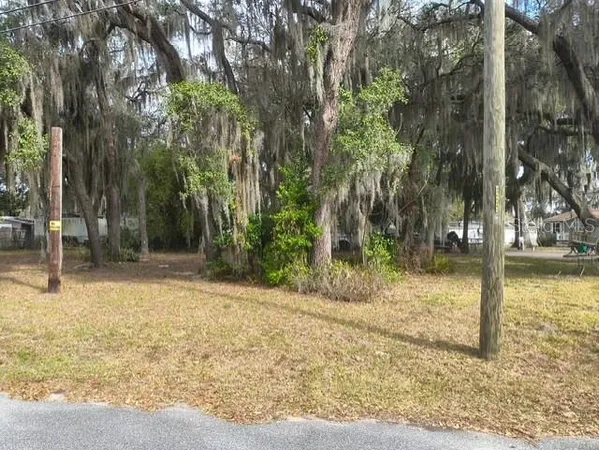 a view of a yard with trees